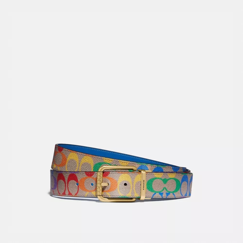 Roller Buckle Reversible Belt
In Rainbow Signature Canvas